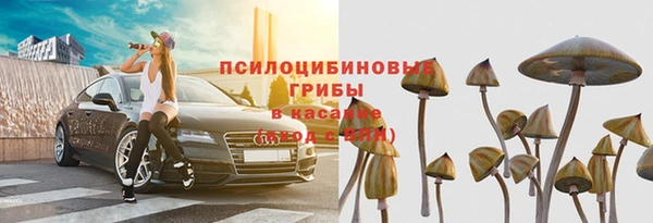прущая мука Арсеньев