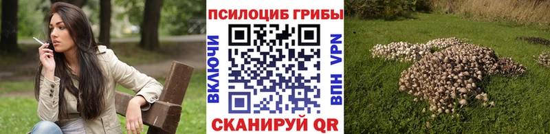 продажа наркотиков  Сокол  Галлюциногенные грибы мухоморы 